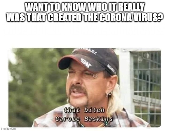 Tiger King | WANT TO KNOW WHO IT REALLY WAS THAT CREATED THE CORONA VIRUS? | image tagged in tiger king | made w/ Imgflip meme maker