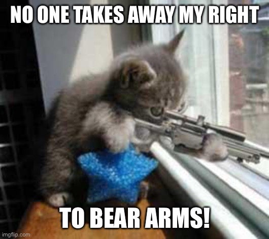 CatSniper | NO ONE TAKES AWAY MY RIGHT; TO BEAR ARMS! | image tagged in catsniper | made w/ Imgflip meme maker