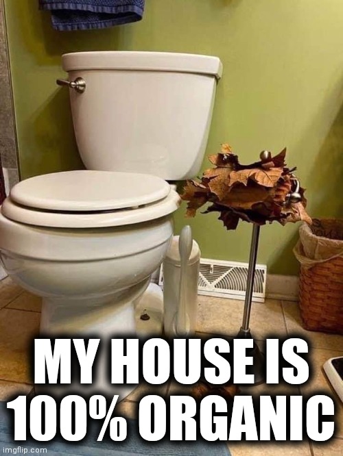 MY HOUSE IS 100% ORGANIC | image tagged in organic,unwanted house guest,funny memes | made w/ Imgflip meme maker