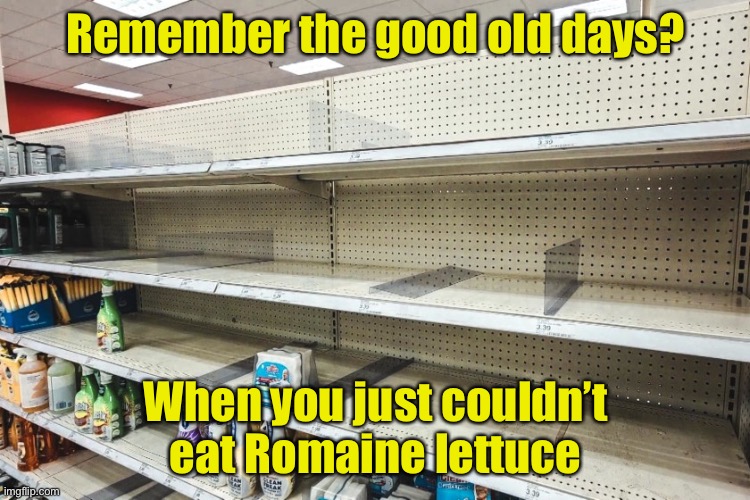 I miss the E. coli scares | Remember the good old days? When you just couldn’t eat Romaine lettuce | image tagged in corona virus ocd,covid-19 | made w/ Imgflip meme maker