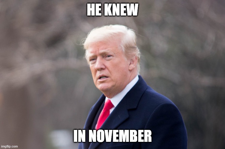 Trump Knew in November | HE KNEW; IN NOVEMBER | image tagged in trump knew in november | made w/ Imgflip meme maker