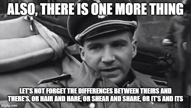 Grammar Nazi | ALSO, THERE IS ONE MORE THING LET'S NOT FORGET THE DIFFERENCES BETWEEN THEIRS AND THERE'S, OR HAIR AND HARE, OR SHEAR AND SHARE, OR IT'S AND | image tagged in grammar nazi | made w/ Imgflip meme maker