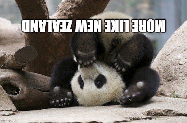Upside down panda | MORE LIKE NEW ZEALAND | image tagged in upside down panda | made w/ Imgflip meme maker