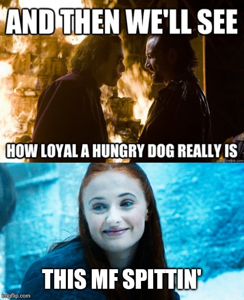 Sansa likes the Joker | THIS MF SPITTIN' | image tagged in joker,sansa stark,dog,game of thrones | made w/ Imgflip meme maker