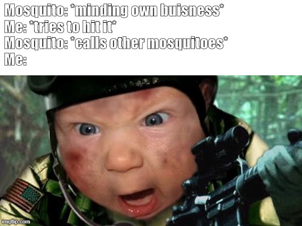 Call of Duty | Mosquito: *minding own buisness*
Me: *tries to hit it*
Mosquito: *calls other mosquitoes*
Me: | image tagged in call of duty | made w/ Imgflip meme maker