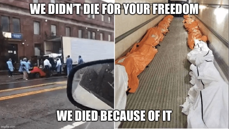 WE DIDN’T DIE FOR YOUR FREEDOM WE DIED BECAUSE OF IT | made w/ Imgflip meme maker