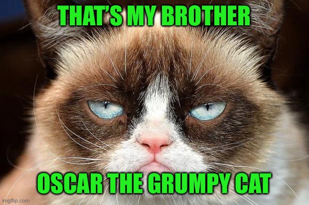 Grumpy Cat Not Amused Meme | THAT’S MY BROTHER OSCAR THE GRUMPY CAT | image tagged in memes,grumpy cat not amused,grumpy cat | made w/ Imgflip meme maker