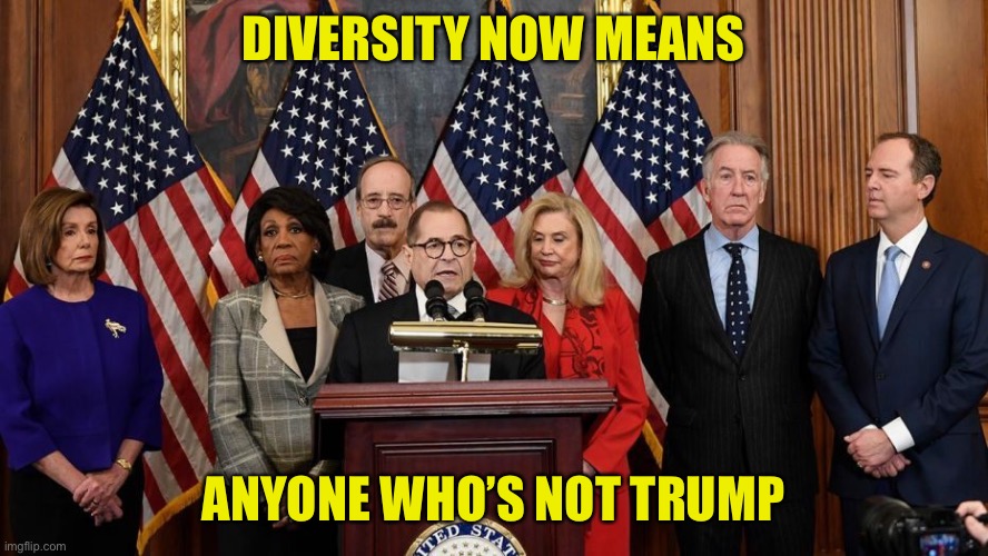 House Democrats | DIVERSITY NOW MEANS ANYONE WHO’S NOT TRUMP | image tagged in house democrats | made w/ Imgflip meme maker