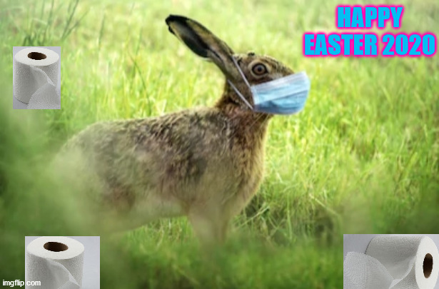 Happy Easter '20!!! | HAPPY EASTER 2020 | image tagged in corona bunny | made w/ Imgflip meme maker