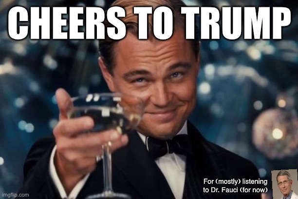Outstanding presidential leadership #MAGA | CHEERS TO TRUMP; For (mostly) listening to Dr. Fauci (for now) | image tagged in leonardo dicaprio cheers,trump,covid-19,coronavirus,quarantine,leadership | made w/ Imgflip meme maker