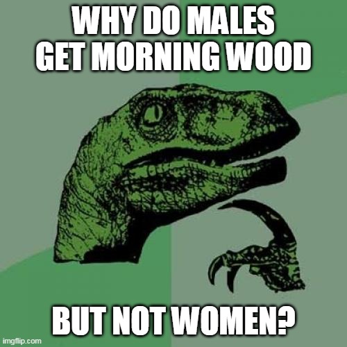 Philosoraptor Meme | WHY DO MALES GET MORNING WOOD; BUT NOT WOMEN? | image tagged in memes,philosoraptor | made w/ Imgflip meme maker
