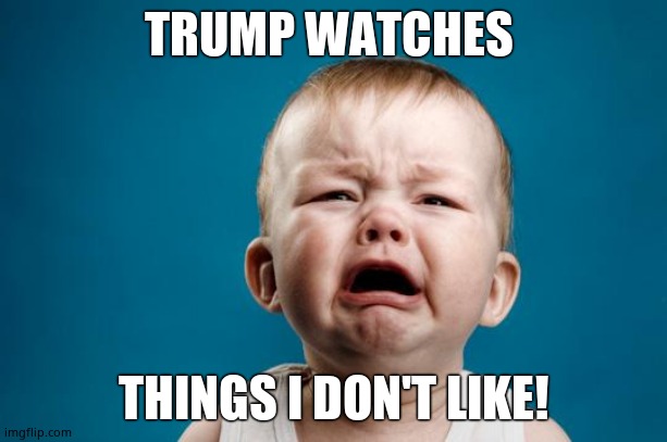 BABY CRYING | TRUMP WATCHES THINGS I DON'T LIKE! | image tagged in baby crying | made w/ Imgflip meme maker