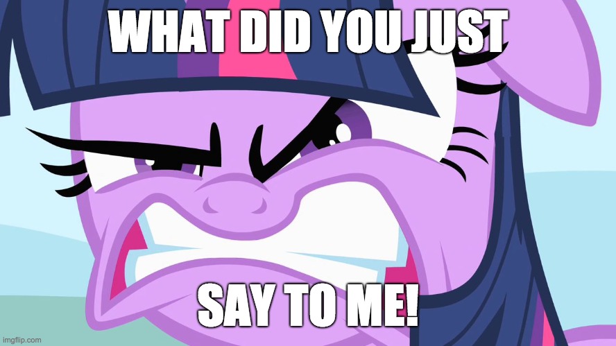 ANGRY Twilight | WHAT DID YOU JUST SAY TO ME! | image tagged in angry twilight | made w/ Imgflip meme maker