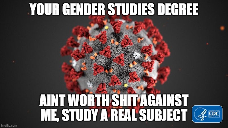 Covid 19 | YOUR GENDER STUDIES DEGREE; AINT WORTH SHIT AGAINST ME, STUDY A REAL SUBJECT | image tagged in covid 19 | made w/ Imgflip meme maker