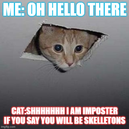 Ceiling Cat | ME: OH HELLO THERE; CAT:SHHHHHHH I AM IMPOSTER IF YOU SAY YOU WILL BE SKELLETONS | image tagged in memes,ceiling cat | made w/ Imgflip meme maker