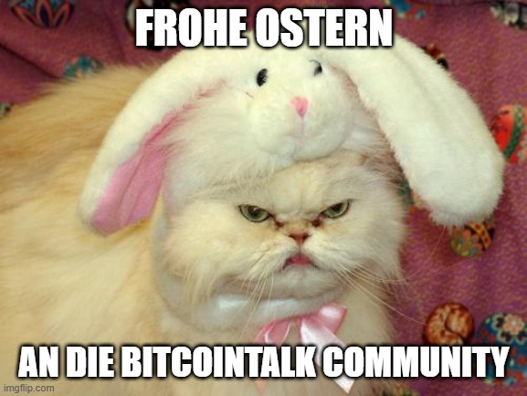 easter cat | FROHE OSTERN; AN DIE BITCOINTALK COMMUNITY | image tagged in easter cat | made w/ Imgflip meme maker