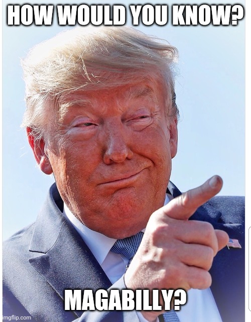 Trump pointing | HOW WOULD YOU KNOW? MAGABILLY? | image tagged in trump pointing | made w/ Imgflip meme maker