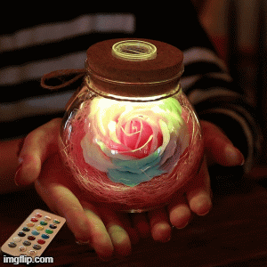 image tagged in gifs | made w/ Imgflip images-to-gif maker
