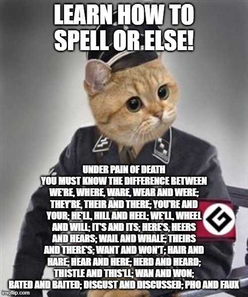 Grammar Nazi Cat | LEARN HOW TO SPELL OR ELSE! UNDER PAIN OF DEATH YOU MUST KNOW THE DIFFERENCE BETWEEN WE'RE, WHERE, WARE, WEAR AND WERE; THEY'RE, THEIR AND THERE; YOU'RE AND YOUR; HE'LL, HILL AND HEEL; WE'LL, WHEEL AND WILL; IT'S AND ITS; HERE'S, HEERS AND HEARS; WAIL AND WHALE; THEIRS AND THERE'S; WANT AND WON'T; HAIR AND HARE; HEAR AND HERE; HERD AND HEARD; THISTLE AND THIS'LL; WAN AND WON; BATED AND BAITED; DISGUST AND DISCUSSED; PHO AND FAUX | image tagged in grammar nazi cat,cats,funny cats,funny cat memes,memes,funny memes | made w/ Imgflip meme maker