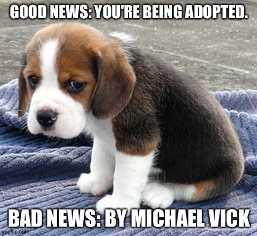 sad dog | GOOD NEWS: YOU'RE BEING ADOPTED. BAD NEWS: BY MICHAEL VICK | image tagged in sad dog | made w/ Imgflip meme maker