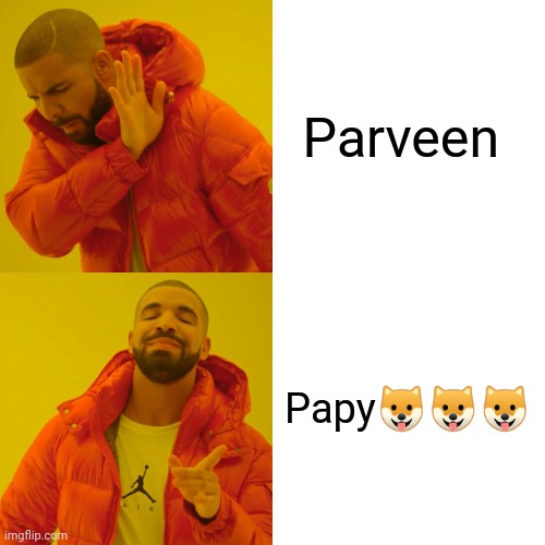 Drake Hotline Bling | Parveen; Papy🐶🐶🐶 | image tagged in memes,drake hotline bling | made w/ Imgflip meme maker