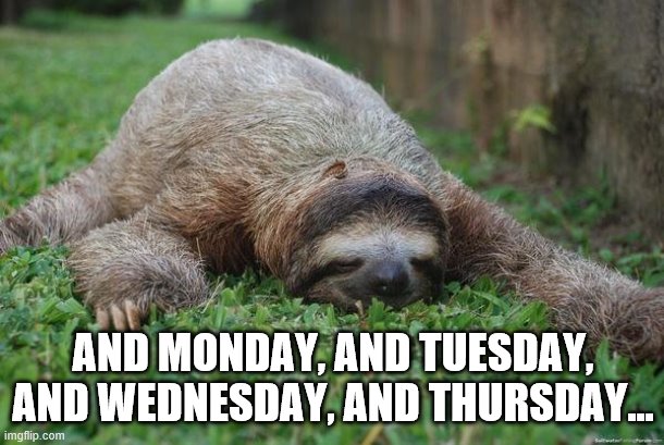Sloth Monday | AND MONDAY, AND TUESDAY, AND WEDNESDAY, AND THURSDAY... | image tagged in sloth monday | made w/ Imgflip meme maker