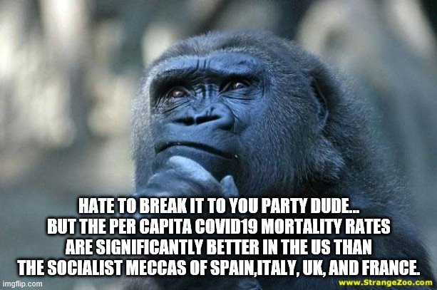 Deep Thoughts | HATE TO BREAK IT TO YOU PARTY DUDE... BUT THE PER CAPITA COVID19 MORTALITY RATES ARE SIGNIFICANTLY BETTER IN THE US THAN THE SOCIALIST MECCA | image tagged in deep thoughts | made w/ Imgflip meme maker