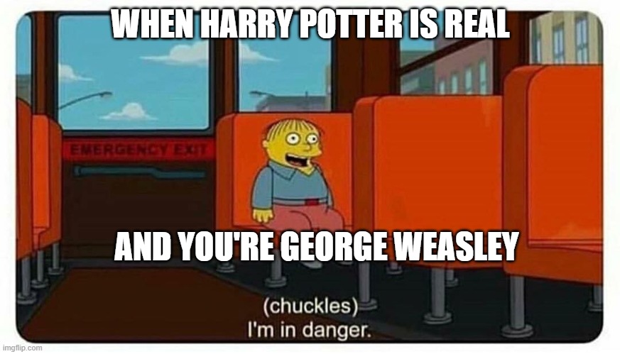 Ralph in danger | WHEN HARRY POTTER IS REAL; AND YOU'RE GEORGE WEASLEY | image tagged in ralph in danger | made w/ Imgflip meme maker