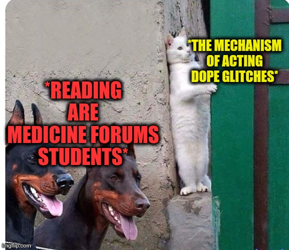 -It placing not on open palm, should to dig with careful ask typed browser line. | *READING ARE MEDICINE FORUMS STUDENTS*; *THE MECHANISM OF ACTING DOPE GLITCHES* | image tagged in hidden cat,watch dogs,hallucinate,why god why,medical marijuana,i will find you | made w/ Imgflip meme maker