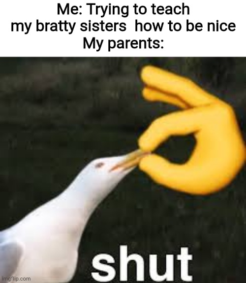 The reason that they say that is because as their older sibling, I can't tell them to not do stuff. | Me: Trying to teach my bratty sisters  how to be nice
My parents: | image tagged in shut bird | made w/ Imgflip meme maker
