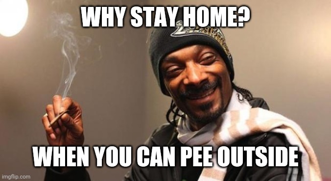 Snoop in quarantine | WHY STAY HOME? WHEN YOU CAN PEE OUTSIDE | image tagged in snoop dogg,coronavirus,corona,corona virus,dog,quarantine | made w/ Imgflip meme maker