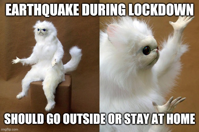 Persian Cat Room Guardian Meme | EARTHQUAKE DURING LOCKDOWN; SHOULD GO OUTSIDE OR STAY AT HOME | image tagged in memes,persian cat room guardian | made w/ Imgflip meme maker