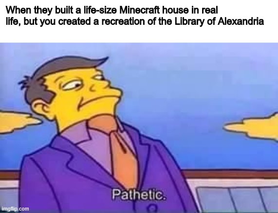 skinner pathetic | When they built a life-size Minecraft house in real life, but you created a recreation of the Library of Alexandria | image tagged in skinner pathetic | made w/ Imgflip meme maker