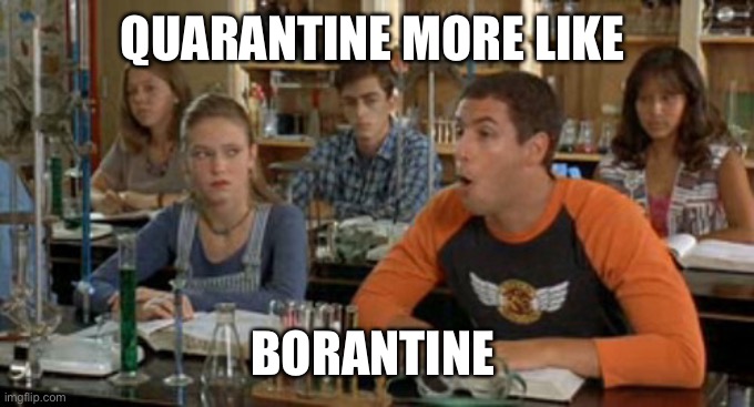Quarantine More Like Borantine! | QUARANTINE MORE LIKE; BORANTINE | image tagged in quarantine,self isolation,social distancing,billy madison,adam sandler | made w/ Imgflip meme maker