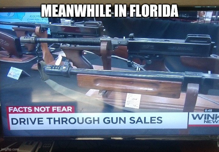 Meanwhile in Florida | MEANWHILE IN FLORIDA | image tagged in florida man,florida | made w/ Imgflip meme maker