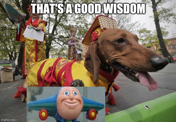 chinese sausage dog | THAT'S A GOOD WISDOM | image tagged in chinese sausage dog | made w/ Imgflip meme maker