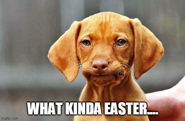 Frowning Dog | WHAT KINDA EASTER.... | image tagged in frowning dog | made w/ Imgflip meme maker
