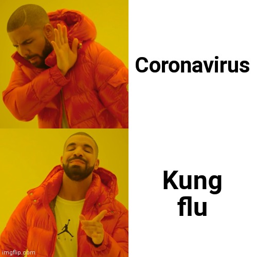 Drake Hotline Bling Meme | Coronavirus; Kung flu | image tagged in memes,drake hotline bling | made w/ Imgflip meme maker