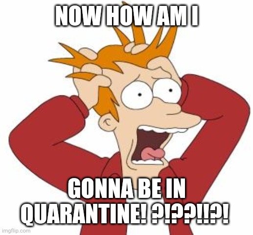Fry Freaking Out | NOW HOW AM I GONNA BE IN QUARANTINE! ?!??!!?! | image tagged in fry freaking out | made w/ Imgflip meme maker