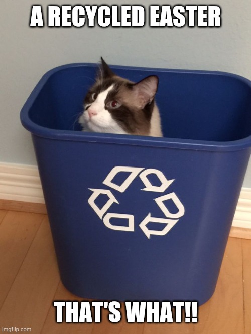 cat recycle | A RECYCLED EASTER THAT'S WHAT!! | image tagged in cat recycle | made w/ Imgflip meme maker