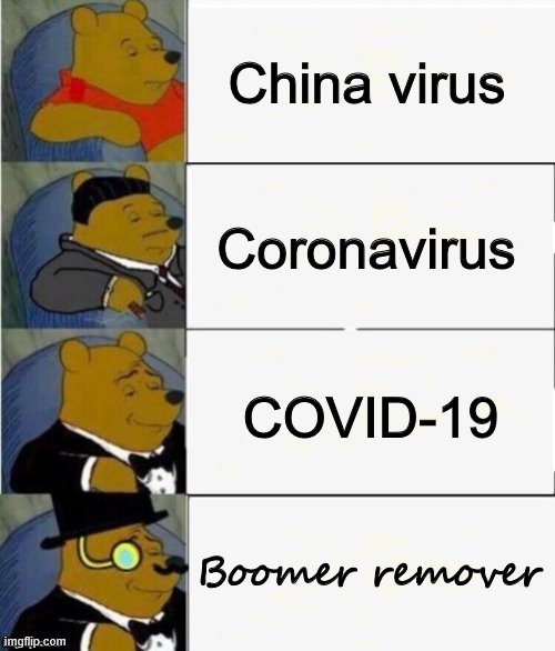 the future is now, Boomer | China virus; Coronavirus; COVID-19; Boomer remover | image tagged in tuxedo winnie the pooh 4 panel,memes,politics,coronavirus,ok boomer | made w/ Imgflip meme maker