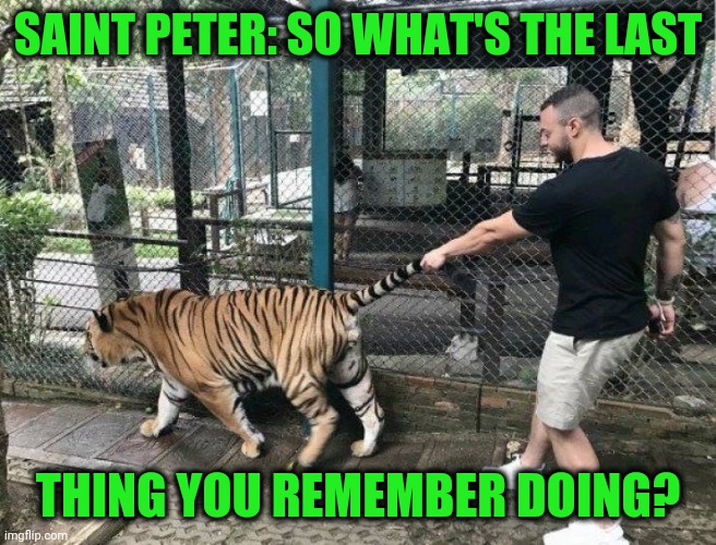Hope he didn't have kids, the gene pool can support any more stupid | SAINT PETER: SO WHAT'S THE LAST; THING YOU REMEMBER DOING? | image tagged in dumb things | made w/ Imgflip meme maker