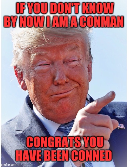 Trump pointing | IF YOU DON'T KNOW BY NOW I AM A CONMAN; CONGRATS YOU HAVE BEEN CONNED | image tagged in trump pointing | made w/ Imgflip meme maker