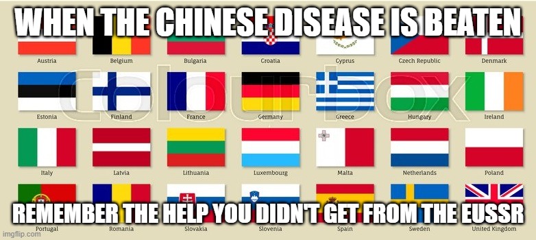 EUSSR Flags | WHEN THE CHINESE DISEASE IS BEATEN; REMEMBER THE HELP YOU DIDN'T GET FROM THE EUSSR | image tagged in eussr flags | made w/ Imgflip meme maker