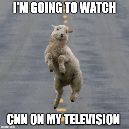 Jumping Sheep | I'M GOING TO WATCH; CNN ON MY TELEVISION | image tagged in jumping sheep | made w/ Imgflip meme maker