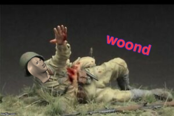 Meme Man Woond | image tagged in meme man woond | made w/ Imgflip meme maker
