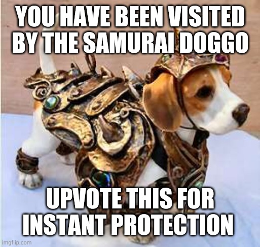 Much protect | YOU HAVE BEEN VISITED BY THE SAMURAI DOGGO; UPVOTE THIS FOR INSTANT PROTECTION | image tagged in doggo week | made w/ Imgflip meme maker