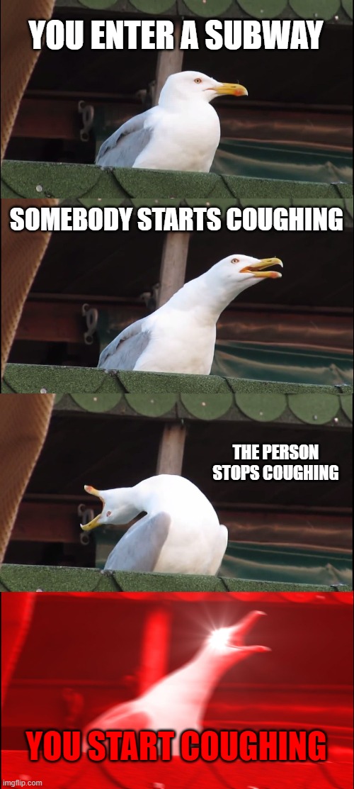 Inhaling Seagull | YOU ENTER A SUBWAY; SOMEBODY STARTS COUGHING; THE PERSON STOPS COUGHING; YOU START COUGHING | image tagged in memes,inhaling seagull | made w/ Imgflip meme maker