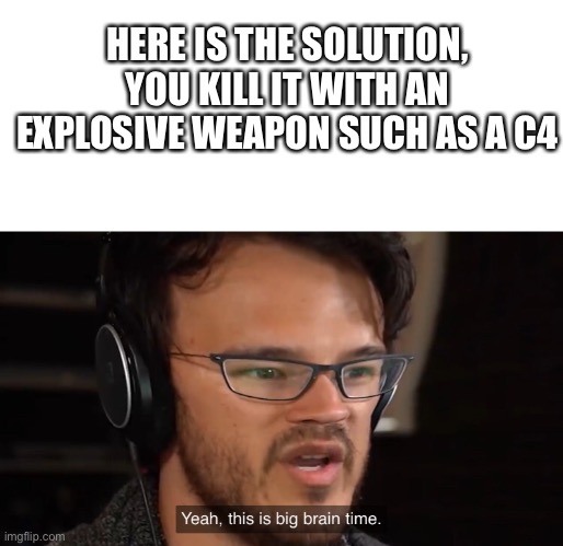Yeah, this is big brain time | HERE IS THE SOLUTION, YOU KILL IT WITH AN EXPLOSIVE WEAPON SUCH AS A C4 | image tagged in yeah this is big brain time | made w/ Imgflip meme maker