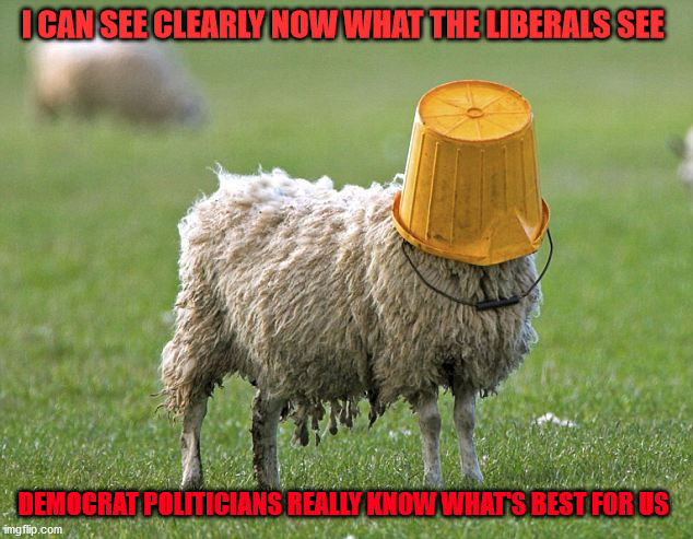 stupid sheep | I CAN SEE CLEARLY NOW WHAT THE LIBERALS SEE; DEMOCRAT POLITICIANS REALLY KNOW WHAT'S BEST FOR US | image tagged in stupid sheep | made w/ Imgflip meme maker